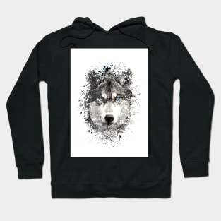 Wolf with blue eyes Hoodie